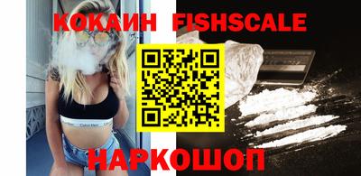 стаф Гай