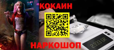 стаф Гай