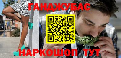 стаф Гай