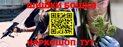 стаф Гай