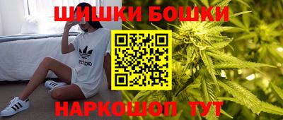 стаф Гай