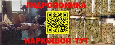 ешки Гатчина