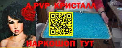 стаф Гай