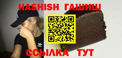 стаф Гай