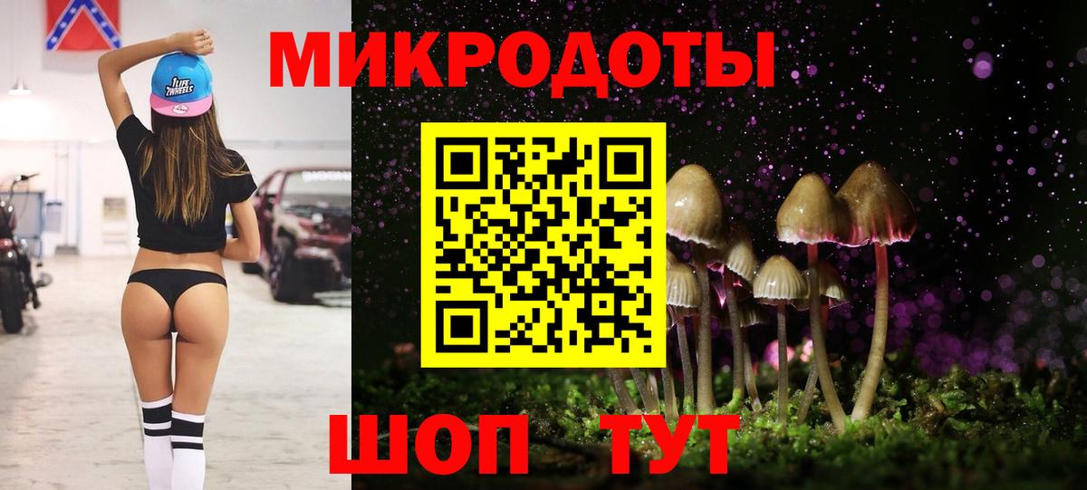 Псилоцибиновые грибы Psilocybine cubensis  где купить   Вход с VPN  Назрань  Псилоцибиновые грибы MAGIC MUSHROOMS 